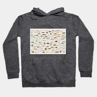 Fish Chart Hoodie